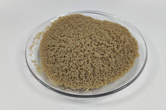 Strong acid catalyst resin