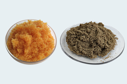 ion exchange resin factory